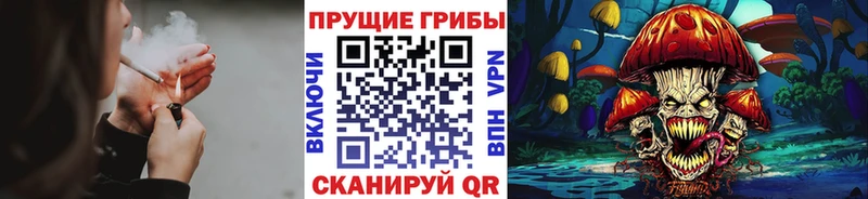 Псилоцибиновые грибы MAGIC MUSHROOMS  Урюпинск 
